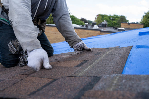 Best Sealant for Roof  in Cushing, OK